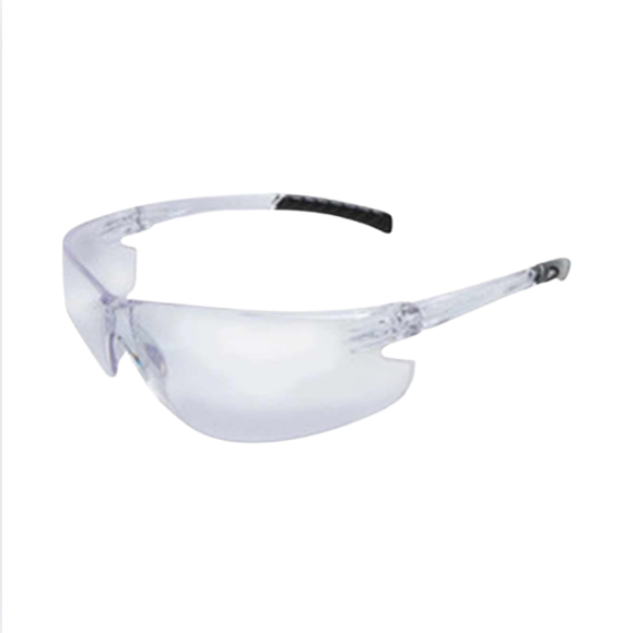 Radnor Glasses Thin Clear