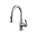 Kitchen Faucet Brushed Nickel Y15KBN Colossal Diamond Tools